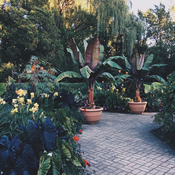 Meet your Posher, Christina - Picture 1 of 1